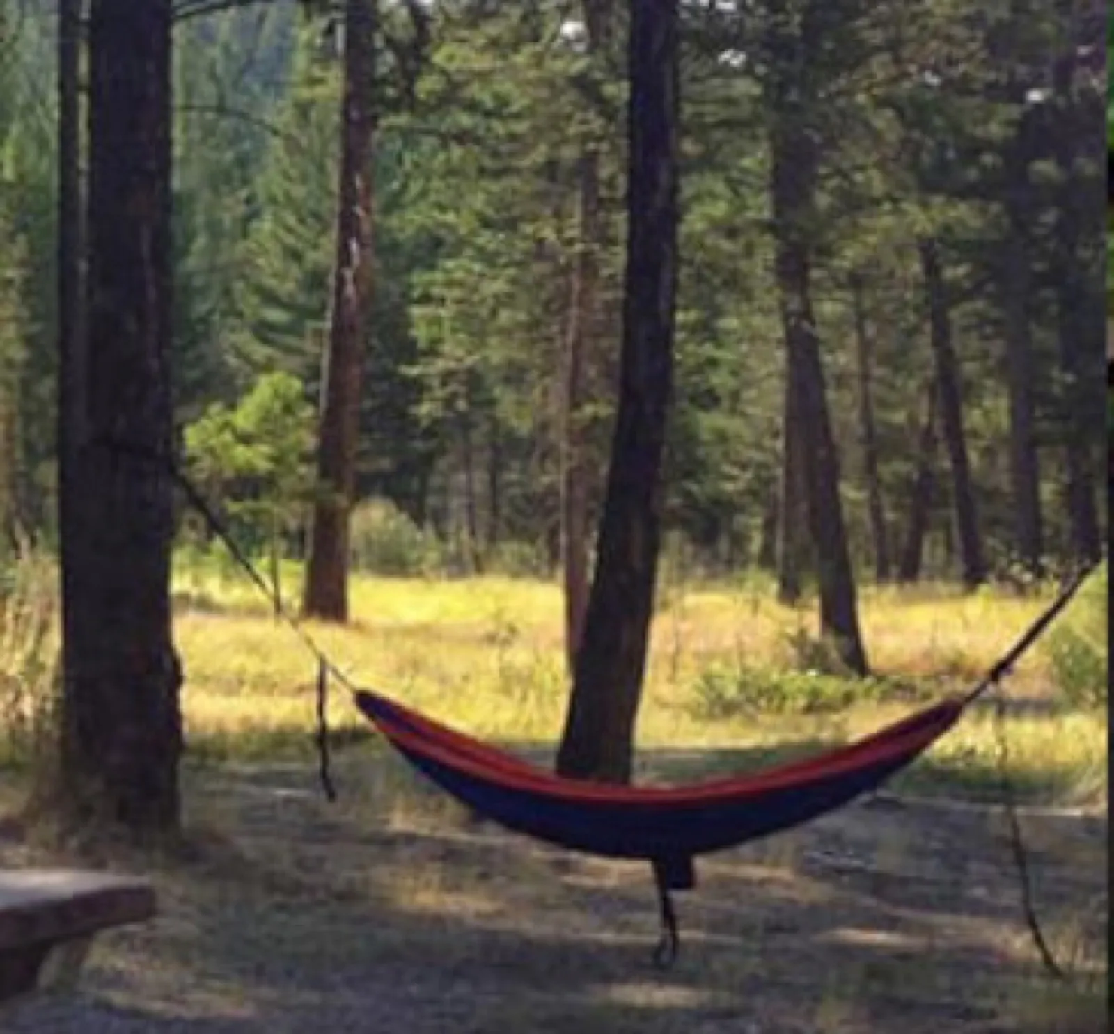 Unserviced campsite.