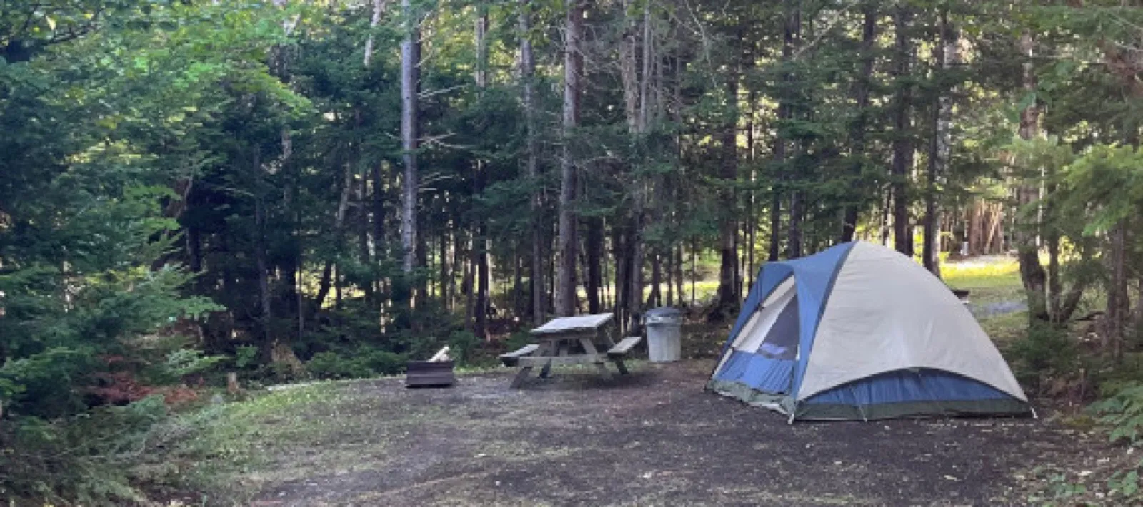 Spacious tenting campsite.