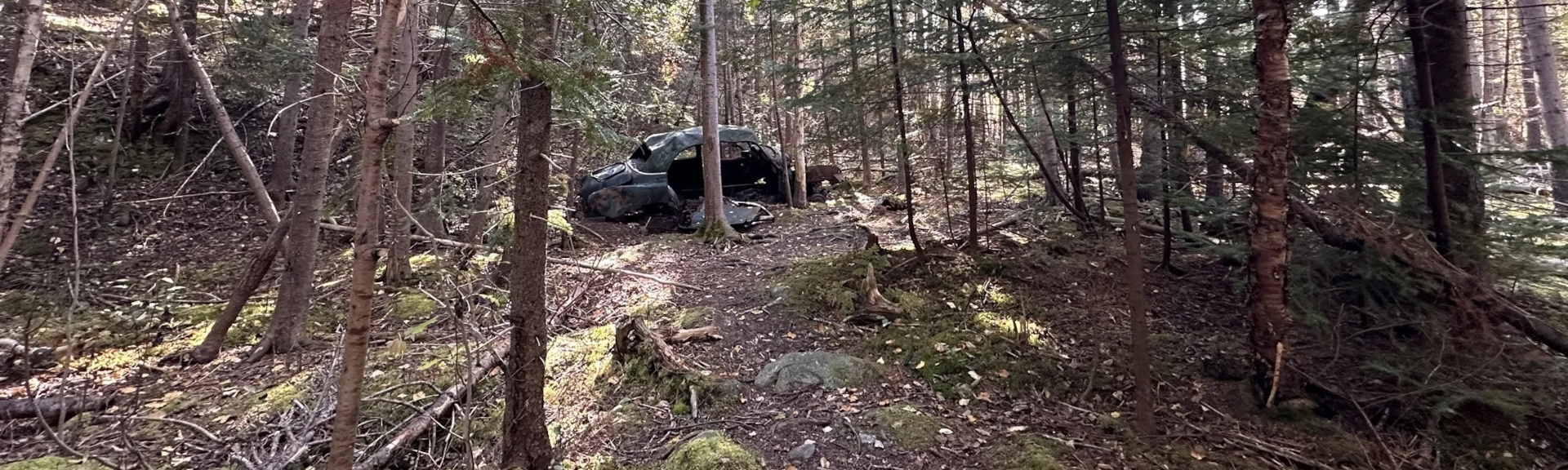 Trail feature along the path.