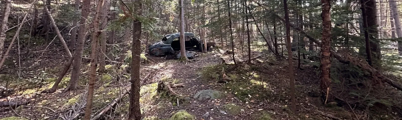 Trail feature along the path.