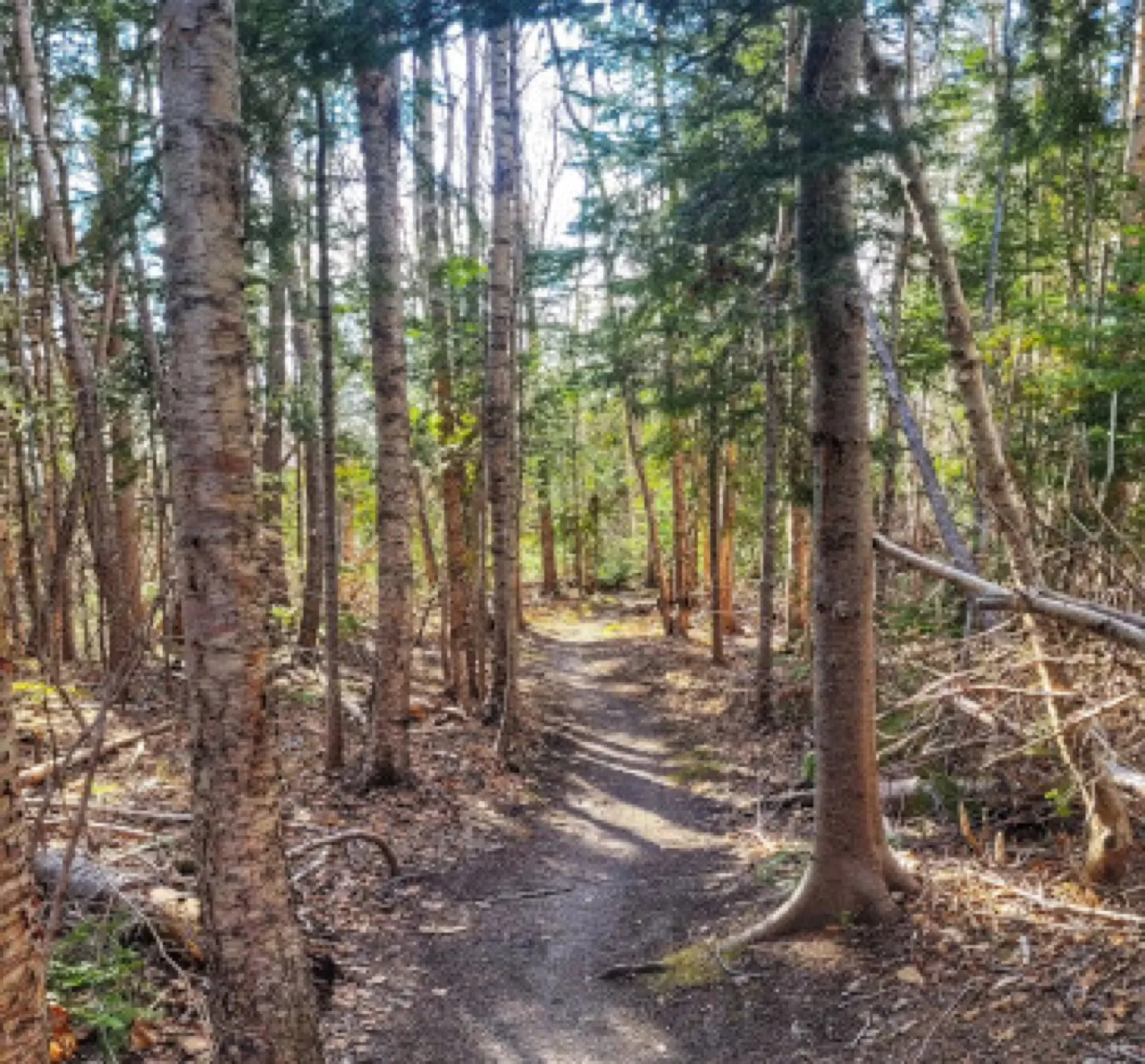 Hike