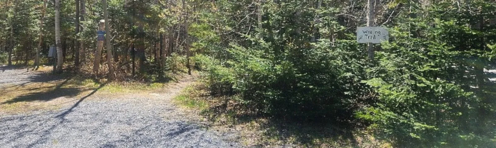 Walking Trails.